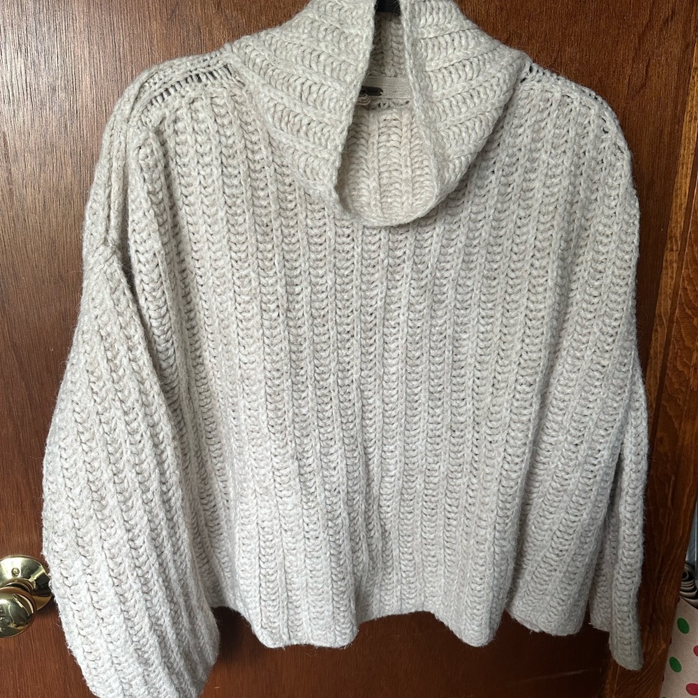 Free people oversized crop sweater